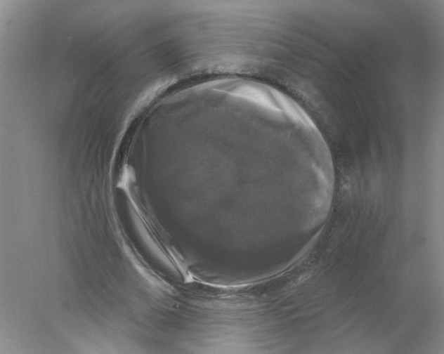 X0000078030678200611171939