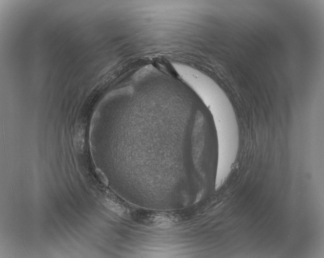 X0000078030697200611171939