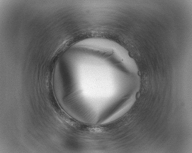 X0000078030698200611171939