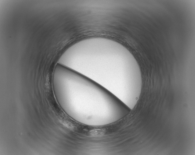X0000078030700200611171939