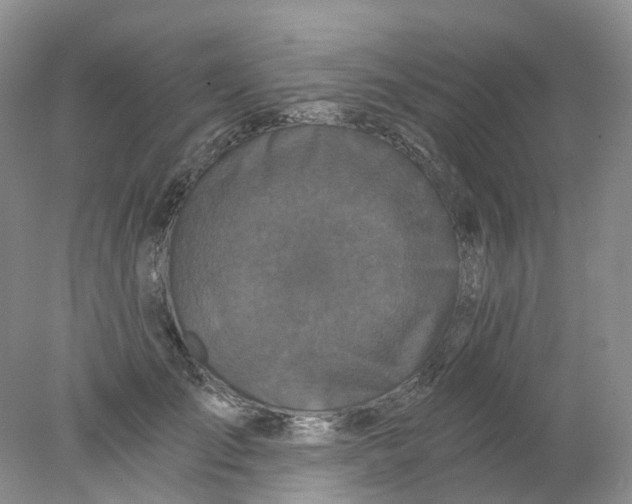 X0000078030701200611171939