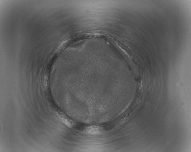 X0000078030708200611171939