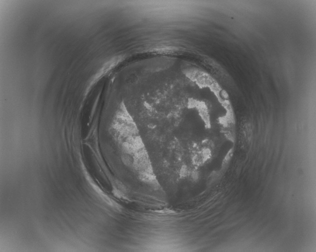 X0000078030734200611171938