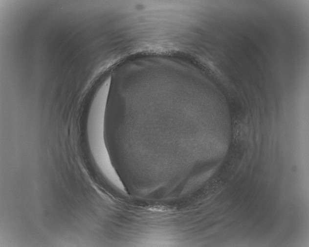 X0000078030736200611171938
