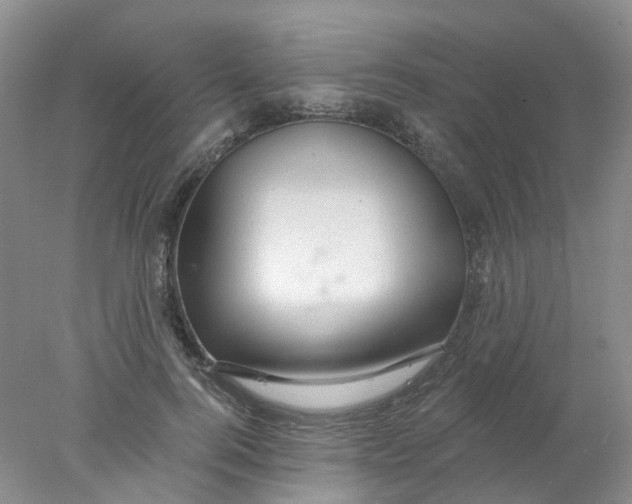 X0000078030744200611171938