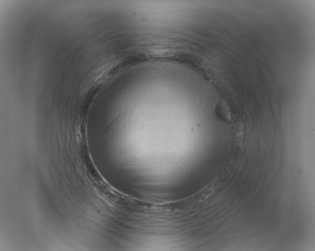 X0000078030746200611171938