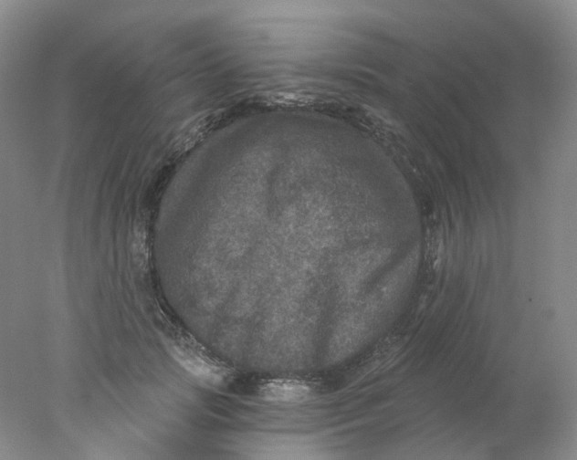 X0000078030749200611171938