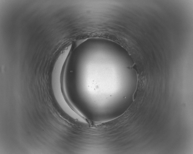 X0000078030756200611171938