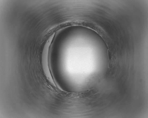 X0000078030773200611171938