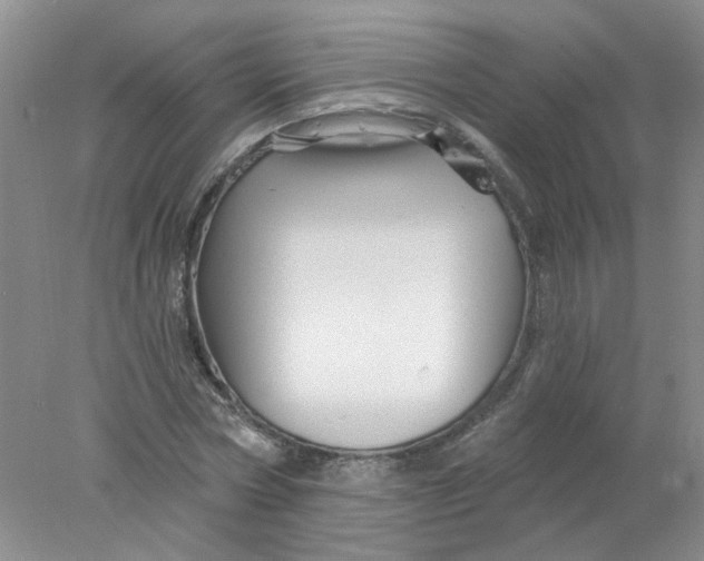 X0000078030778200611171938