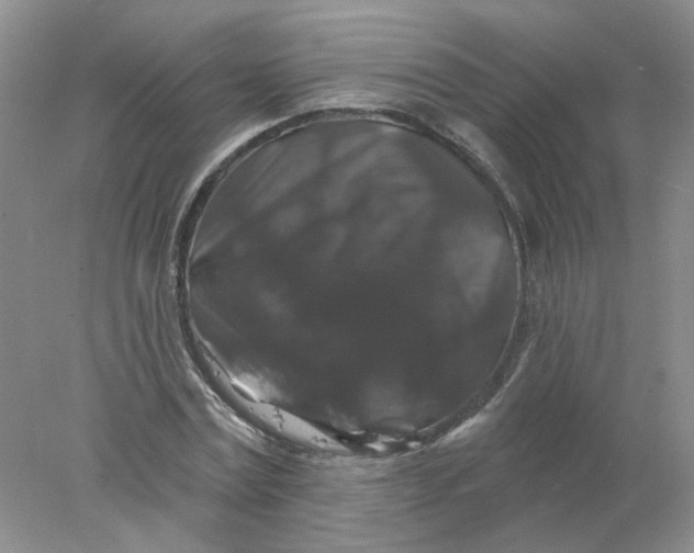 X0000078030779200611171938