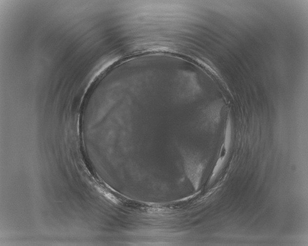 X0000078030790200611171937