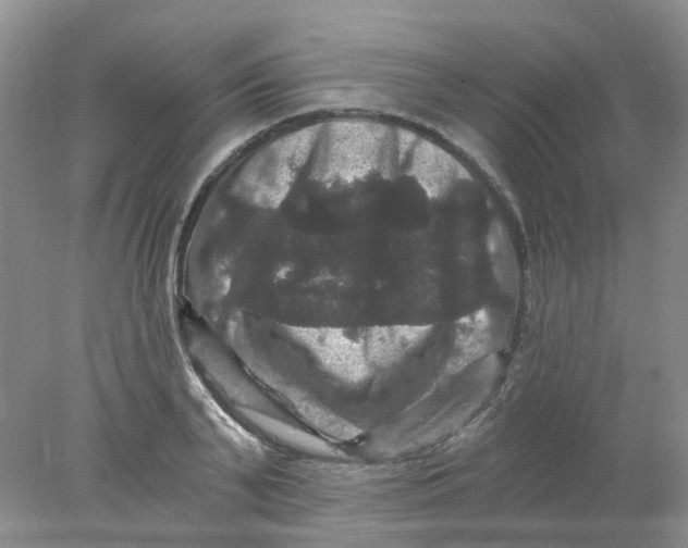 X0000078030791200611171937