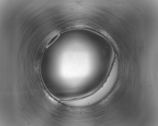 X0000078030801200611171937