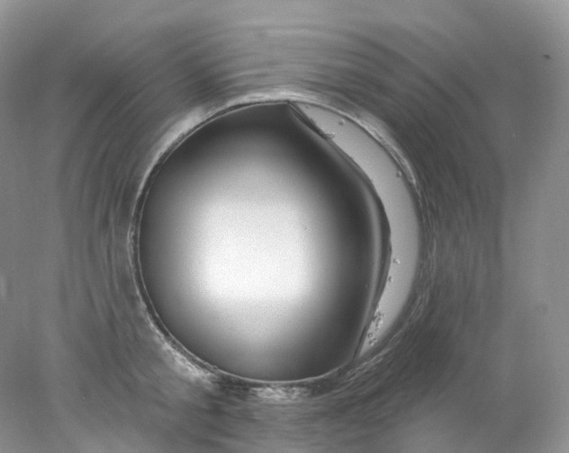 X0000078030805200611171937