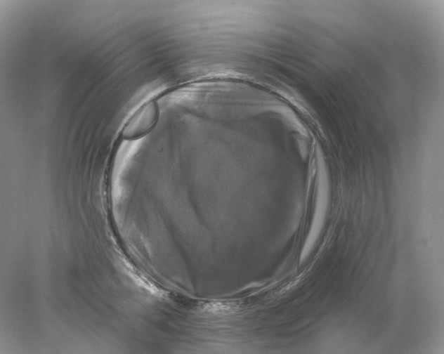 X0000078030806200611171937
