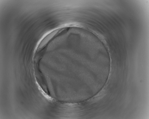 X0000078030816200611171937