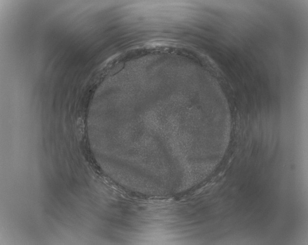 X0000078030821200611171936