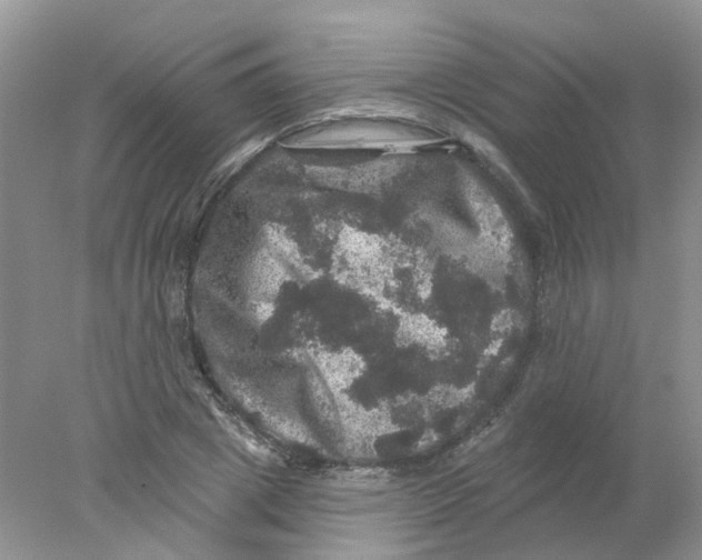 X0000078030833200611171936