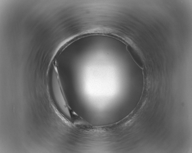 X0000078030838200611171937