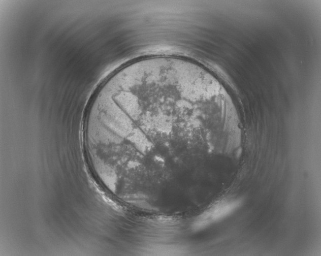 X0000078030839200611171937
