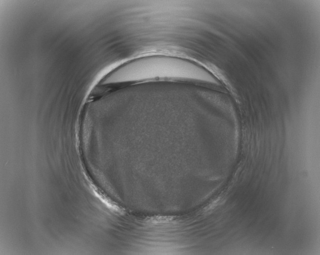 X0000078030846200611171937