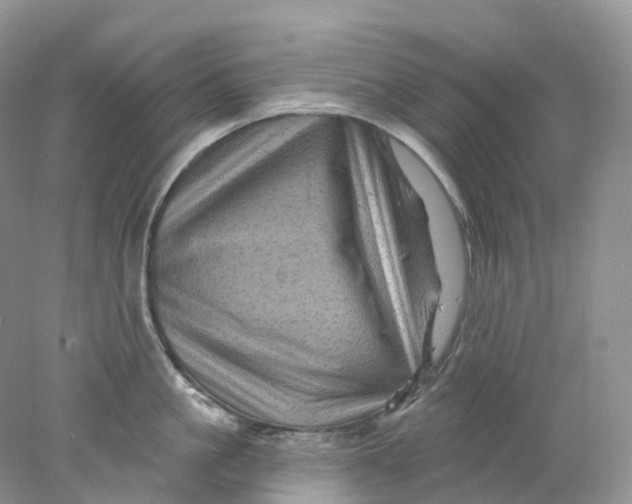 X0000078030861200611171937