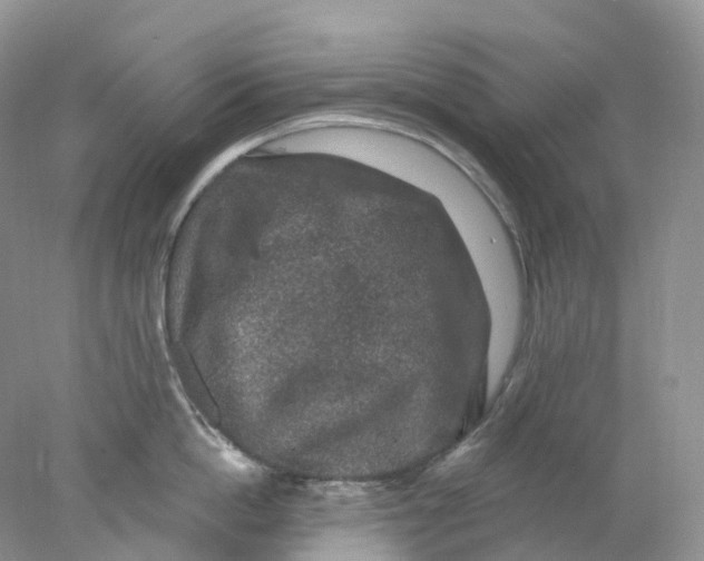 X0000078030862200611171937