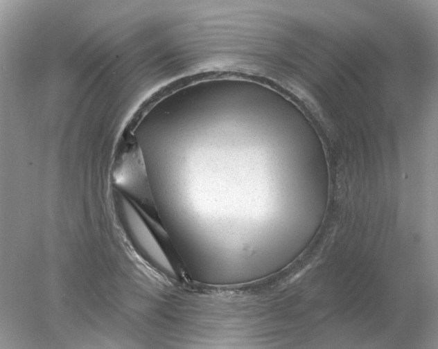 X0000078030880200611171936