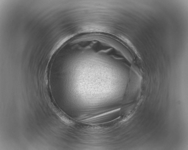 X0000078030885200611171936