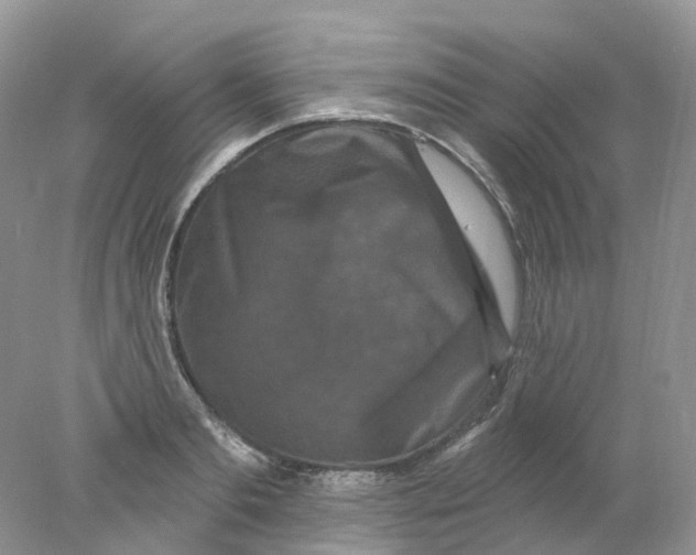 X0000078030893200611171936