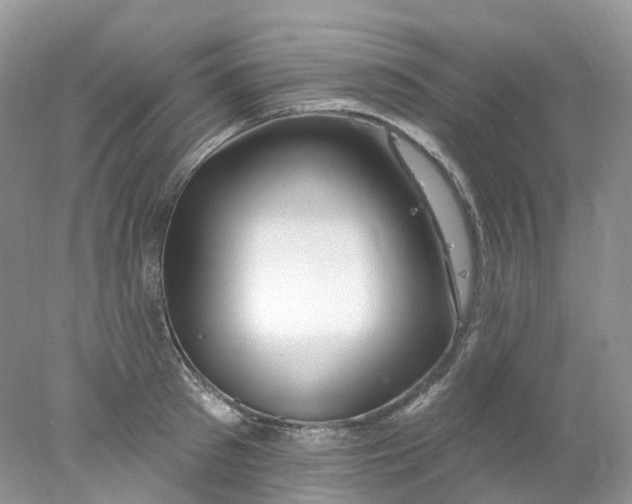 X0000078030897200611171936