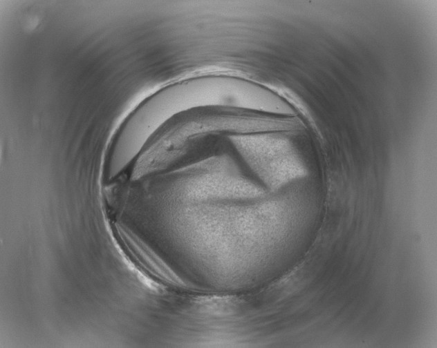 X0000078030902200611171936