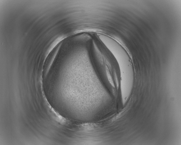 X0000078030906200611171936