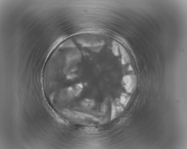 X0000078030907200611171935
