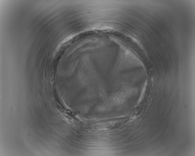 X0000078030920200611171935