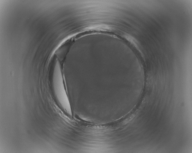 X0000078030923200611171935
