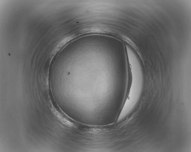 X0000078030938200611171935