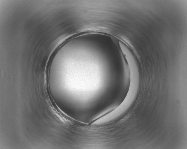 X0000078030940200611171935