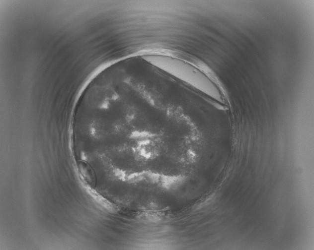 X0000078030955200611171935