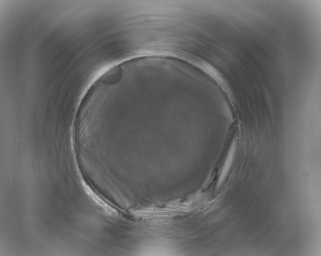 X0000078030958200611171935