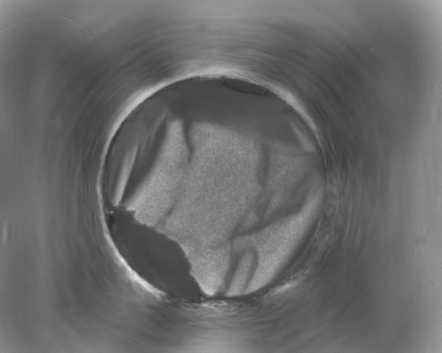 X0000078030959200611171935