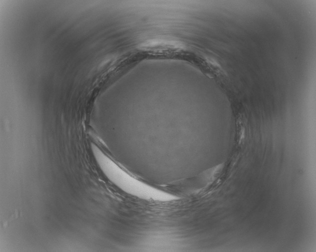 X0000078030965200611171935