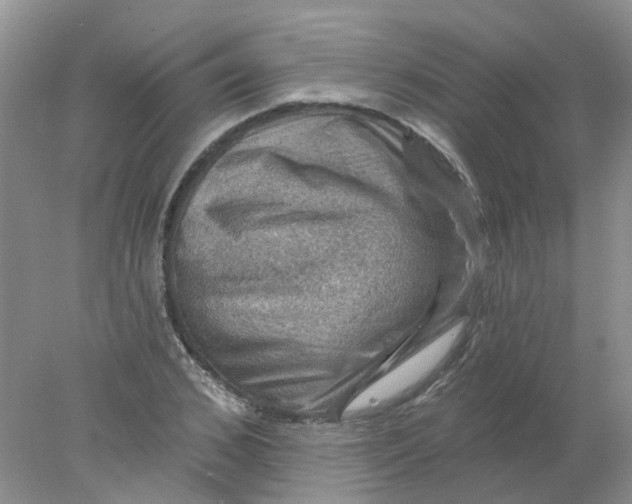 X0000078030976200611171934