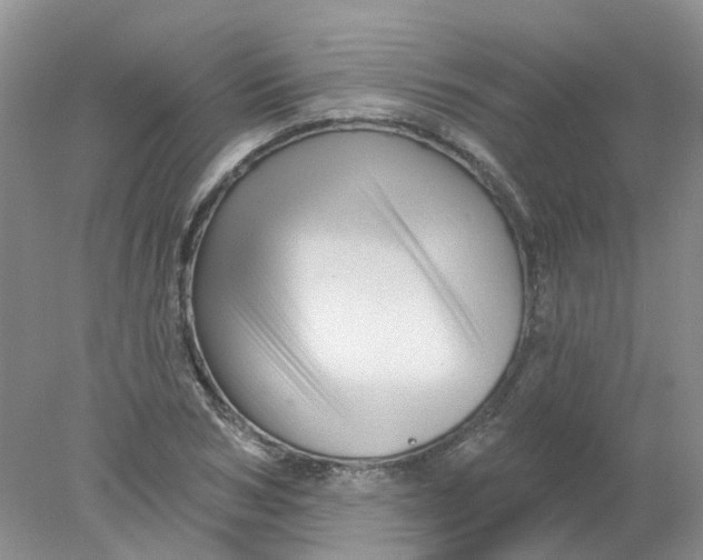 X0000078030978200611171934