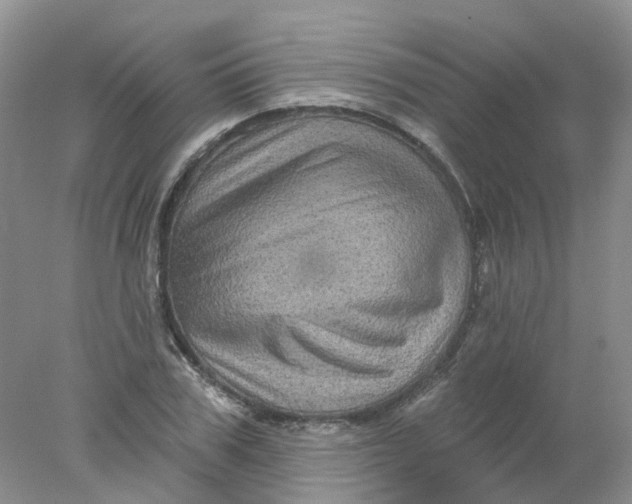 X0000078030979200611171934