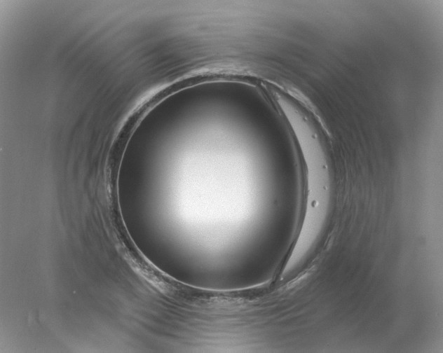 X0000078030981200611171934