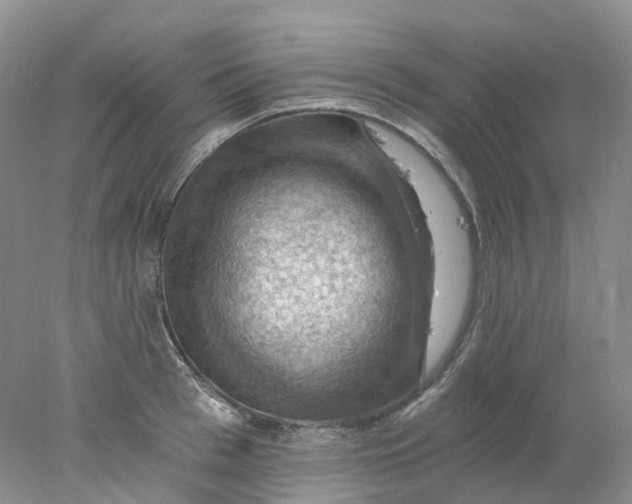 X0000078030993200611171934