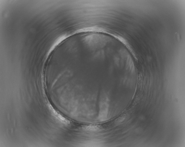X0000078030998200611171934