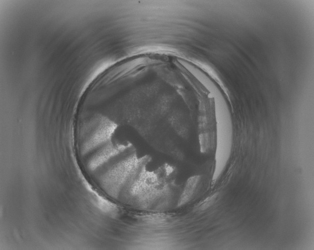 X0000078030999200611171934